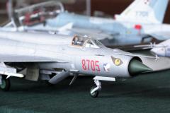 galeria-2512-Golab-modele-002