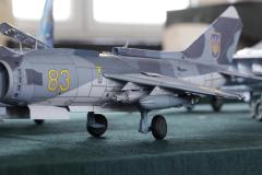 galeria-2512-Golab-modele-010