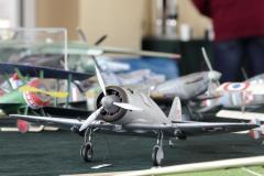 galeria-2512-Golab-modele-011