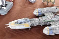 galeria-2512-Golab-modele-024