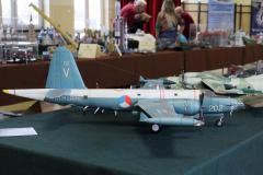 galeria-2512-Golab-modele-031