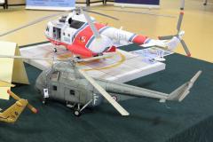 galeria-2512-Golab-modele-050