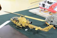 galeria-2512-Golab-modele-051