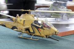 galeria-2512-Golab-modele-052