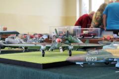 galeria-2512-Golab-modele-068