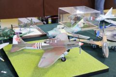 galeria-2512-Golab-modele-070