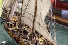 galeria-2512-Golab-modele-102