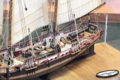 galeria-2512-Golab-modele-104