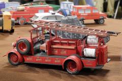 galeria-2512-Golab-modele-131