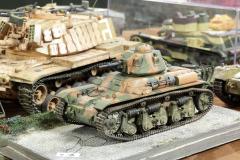 galeria-2512-Golab-modele-141