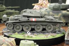 galeria-2512-Golab-modele-159