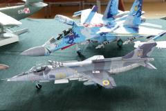 galeria-2512-Golab-modele-165