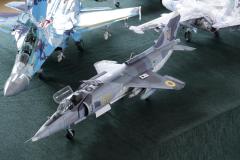 galeria-2512-Golab-modele-166