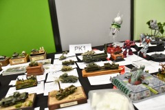 galeria-2510-Paprykarz-p078