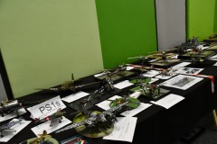 galeria-2510-Paprykarz-p087