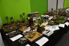 galeria-2510-Paprykarz-p108