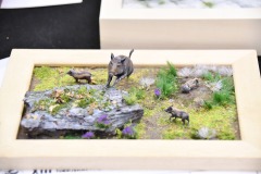 galeria-2510-Paprykarz-p176