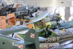 galeria-2509-Przeciszow-211