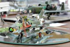 galeria-2510-Wloclawek-modele-041