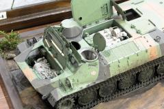 galeria-2510-Wloclawek-modele-117