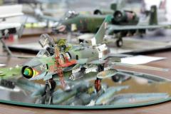 galeria-2510-Wloclawek-modele-122