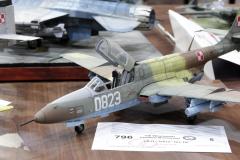 galeria-2510-Wloclawek-modele-155