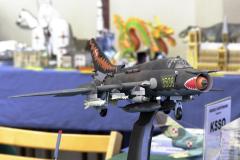 galeria-wyjazdy-2604-Olsztyn-modele-karton-032