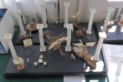 galeria-wyjazdy-2604-Olsztyn-modele-karton-048