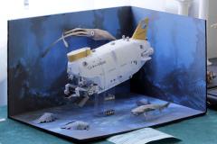 galeria-wyjazdy-2604-Olsztyn-modele-karton-093