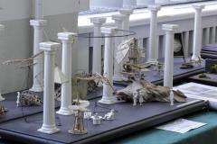 galeria-wyjazdy-2604-Olsztyn-modele-karton-094