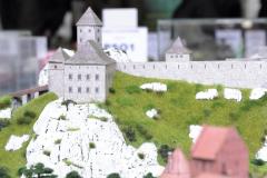 galeria-wyjazdy-2604-Olsztyn-modele-karton-177