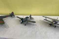 galeria-2511-Bolewice-modele-02