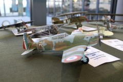 galeria-2602-Syrenka-modele-36