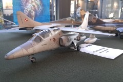 galeria-2602-Syrenka-modele-49